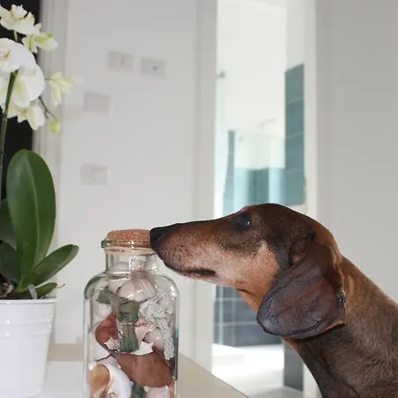 One Night 3* Фрегене