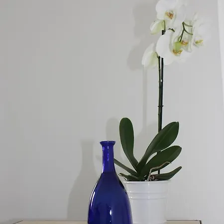 One Night 3* Fregenae